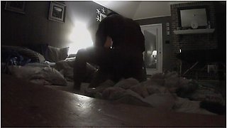 Living Room Fucking