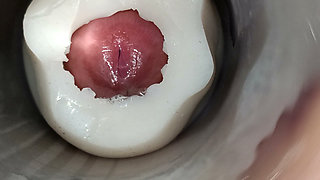 Internal view: vulva twitching and ejaculating 5