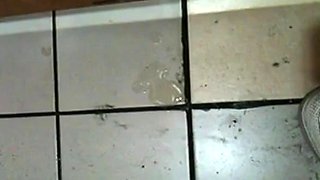 Korean Amateur Sucks Cock in Bathroom Gloryhole