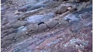 Risky Public Beach Blowjob - Huge Cumshot On The Face Of Random Hot Blonde Girl!