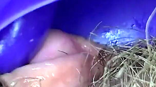 Extreme closeup big clit licking toy orgasm hairy pussy