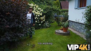 Vip4k. lawn and passion