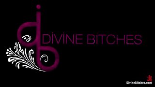 A Self-serving Pleasure With Maitresse Madeline, Ned Mayhem And Haley Wilde