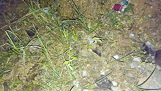 Nepali Aunty Lover Night Doggy Style Sex Video Nepali Audio