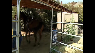 Gorgeous Blair Wants to Be Doggystyle Fucked Outdoors Like a Little Slut