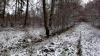 Jacket off in the Winter Forest and Tits Red