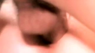 Jade Pussycat Classic Adventure