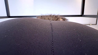 Smell My Sweaty Ass!