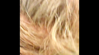 New Head Compilation