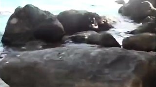Amateur Couple's Beach Sex Tape