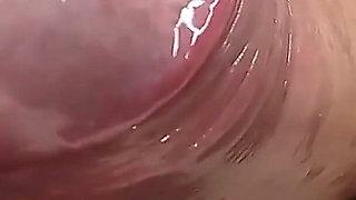 She Extracts Sperm by Massaging the Meaty Head of the Dick