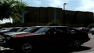 Dark haired amateur blowjob and handjob in fake taxi