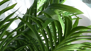 A Beautiful Anime Girl Got Fucked in Her Tight Pussy and Sweet Mouth. He Came on Her Cunt.