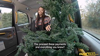 Lia Lin’s Cute Brazilian Christmas in Taxi Heat