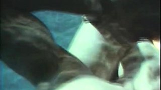 Blowjob cumshot whore gargles pov bukkake fetish cum