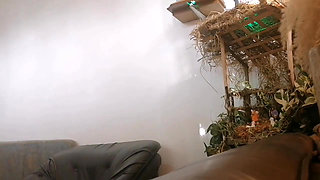 Housemaid Begs for Mercy for Stealing What Is Mine