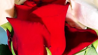Small titted teen amateur pounded by doctor