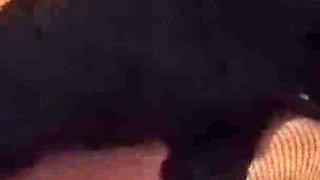 Casting for a University Girl Young and with a Big Butt (complete Version)