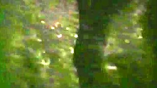 Blowjob fetish whore bukkake cumshot pov cum swallow