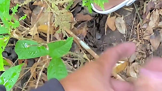 Nature Sex
