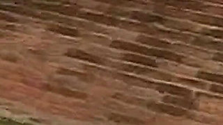 Big Omar's British Adventures: Wet Snatches (2003)