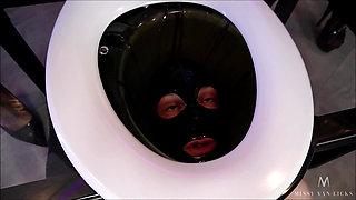 Toilet Must Swallow