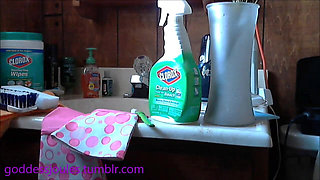 Cleaning Bitch 101