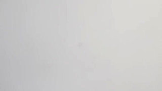 One Year Later, Stephaneprodx Sees His Friend Lily Again