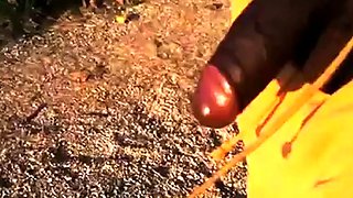 Big Black Cocks Outdoors