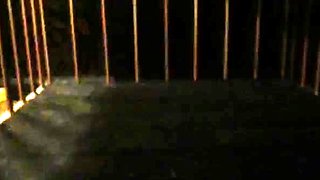 Femdom Puppy Play - Mistress Adreena Double Cages Her Hubby