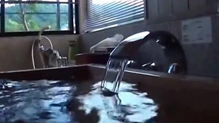 Asian Angel - Hottest Sex Video Japanese Censored Private Hottest Youve Seen