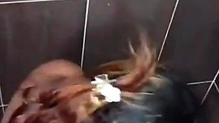 With a Brunette From Kansas Fucking Until She Gets Pregnant