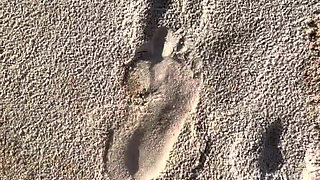 Comparing Size 16 Feet to Sand Prints at the Beach