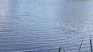 Paradise Fucking with the Best View in the World with the Man I Love Most for Life.