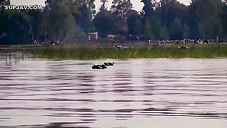 342 Wild Kingdom Creampie Raw Footage With African Natives Vol.1 Decensored