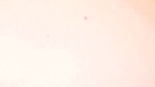 Latina Cameltoe Giant Creampie in the Kitchen with Her Neighbor