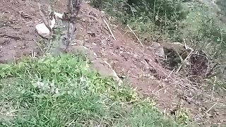 Part 2 - Desi outdoor sex with a stranger girl in the jungle.