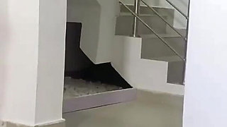 Am Here to Fix Her Toilet but End up Digging Her Ass Hole