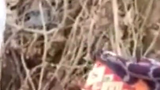 Outdoor Sex Bhabhi Fucked by Devar in Jungle in Open Aria
