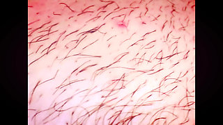 Macro Perspective Extreme Close-up with Micro Camera
