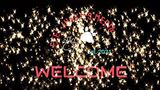 BBW Diva Foot Domination of Soles Have Mercy