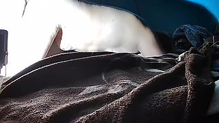 I still don't put it in and he tells me that it will hurt