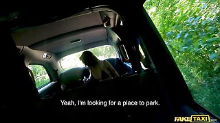 Fake Taxi - oil movie