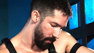 BDSM slave flogged and anal fucked!