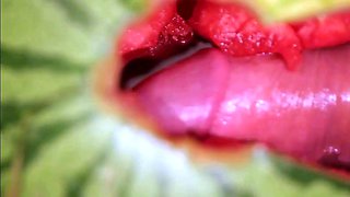 Muscular Stud Fucks and Cums on Watermelon