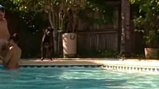 Sexxy Brandon: Pool Fun: Part 1