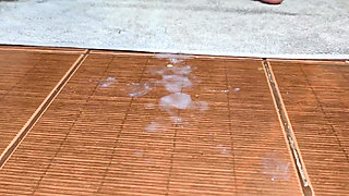 We Can Share the Bathroom but Fuck Me First, Just Don't Get Me Pregnant