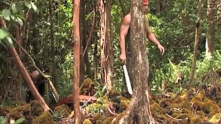 Lords of the Jungle