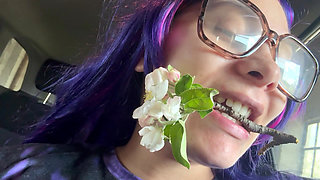 Sneezing From This Flower and It Gets Wild in Car