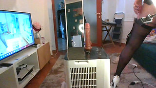 Riding a Dildo Over my Pinguino